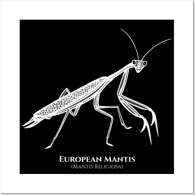 Praying Mantis with Common and Latin Names - on black Wall Art by Green Paladin